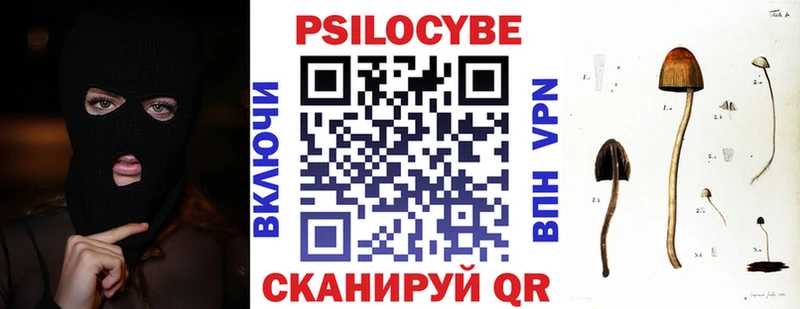 ОМГ ОМГ зеркало  закладка  Шарья  Псилоцибиновые грибы мухоморы 
